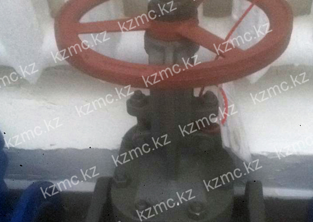 Задвижка ЗМС DN 65 PN 35 ст10